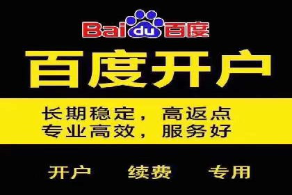 百度SEO推广策略深度解读：某企业网络营销的胜利之路